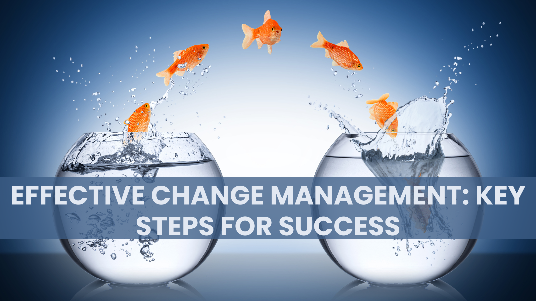 Effective Change Management: Key Steps for Success